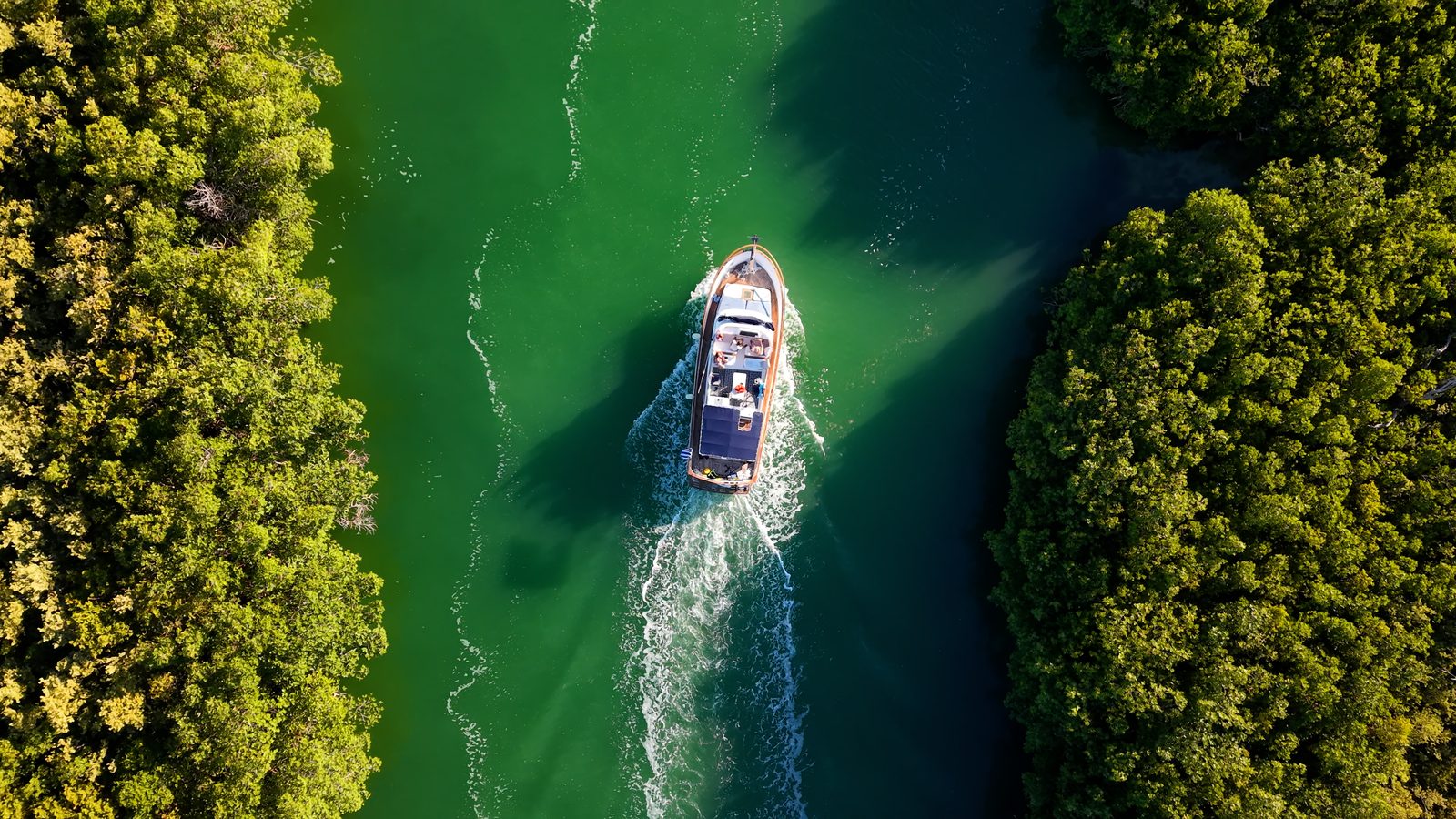 Overhead view of the Tafil cruising through the mangrove canals
