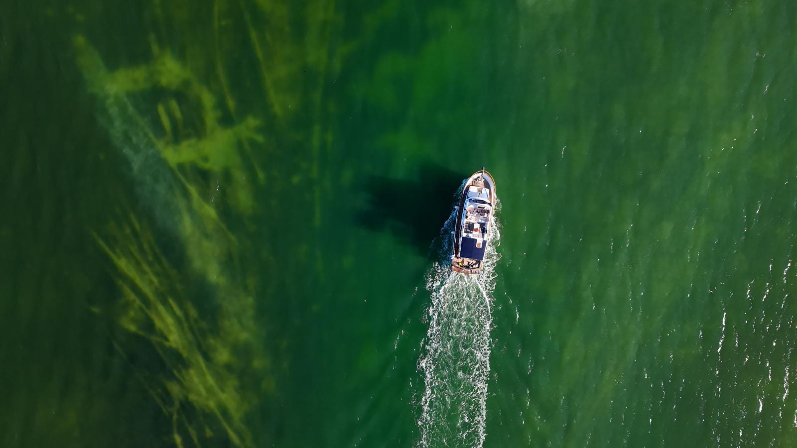 Top-down view of the Tafil leaving a wake across the green waters of Laguna Macax