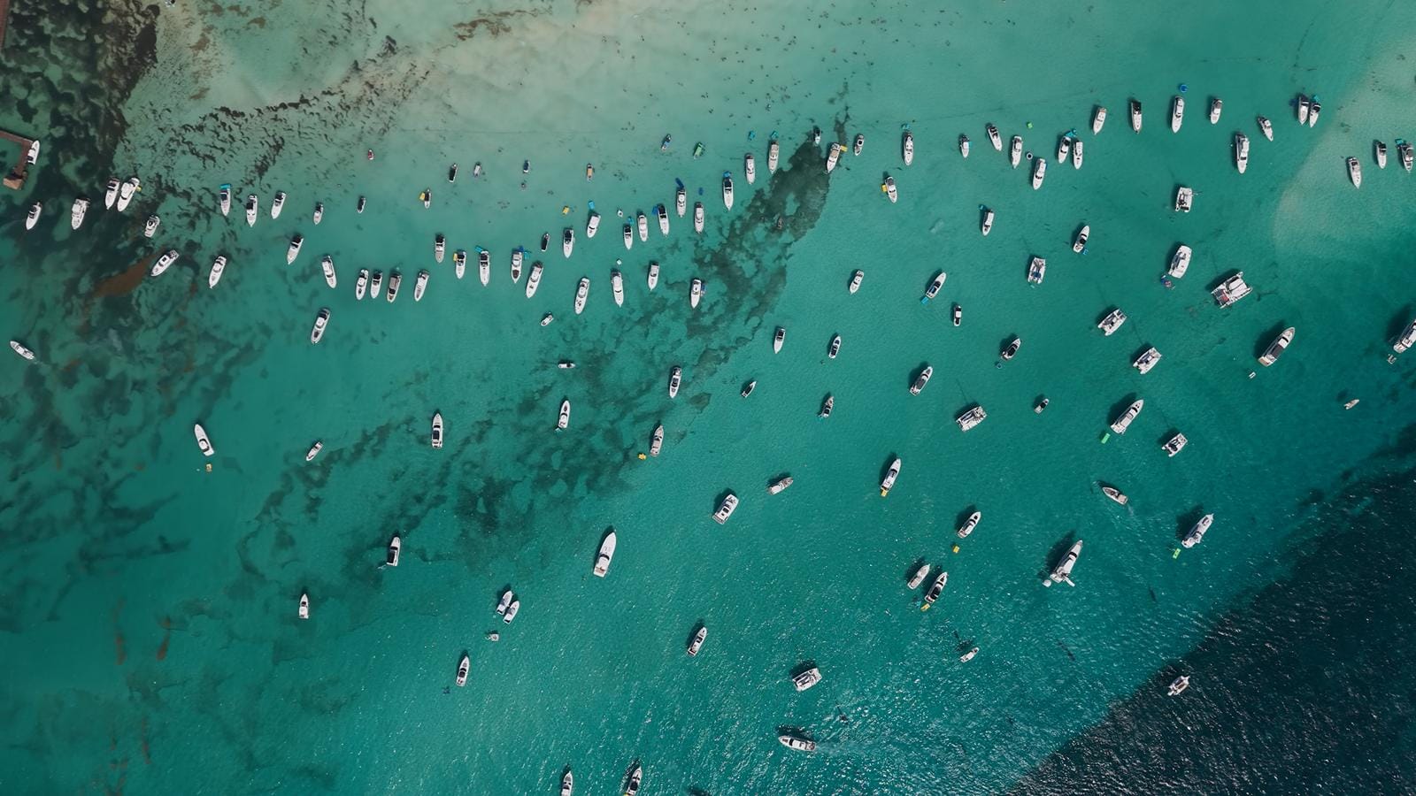 Top-down aerial view of dozens of boats anchored in the shallows off Punta Norte